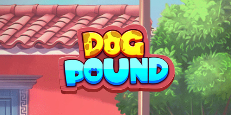 Where to Play Dog Pound?  Forget About It Here.