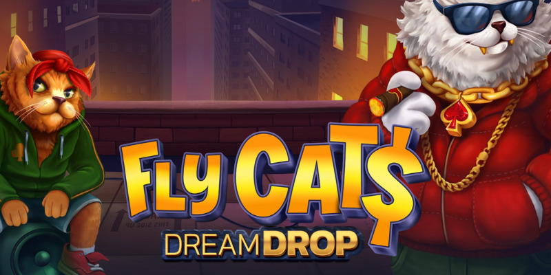 Fly Cat$ Dream Drop Slot Review: Alley Cats and Big Wins