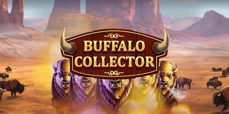 Buffalo Collector Slot:  Is This Buffalo Run Worth Your Bucks?