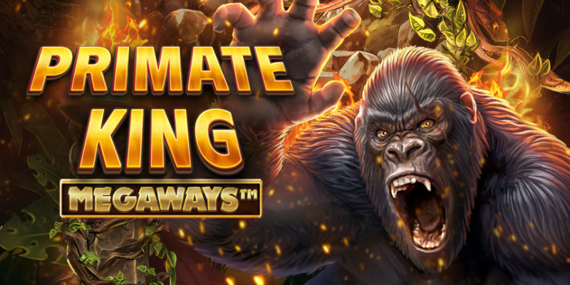 Primate King Megaways Slot Review: Back to the Jungle, Baby!