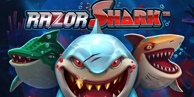 Razor Shark: This Slot Bites Back (in a Good Way?)